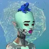 VISUAL MAGI from gumroad