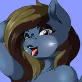 Shreddy117 from patreon