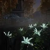 CHIMgarden from patreon