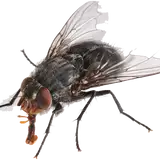 Gee_Bee from patreon