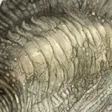 Sleeart from patreon