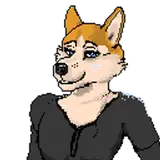 HuskyPixels from patreon