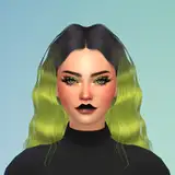 toxxicsims from patreon