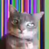 slt from patreon