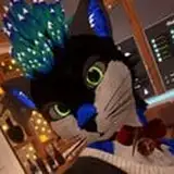 Ty Pavia (Cody Wuff) from gumroad