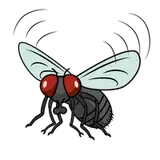 InsectBro from patreon