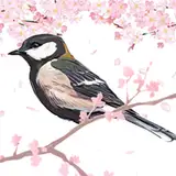 四十雀 from patreon