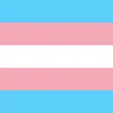 TheTransExperience from patreon