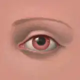 Sims41ife from patreon
