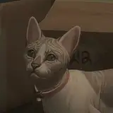florwalsims from patreon
