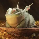 The Greedy Frog from patreon