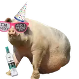 LazerPig from patreon