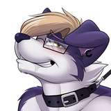 drakodoge from patreon