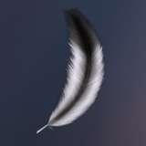 FeatherFeel from patreon